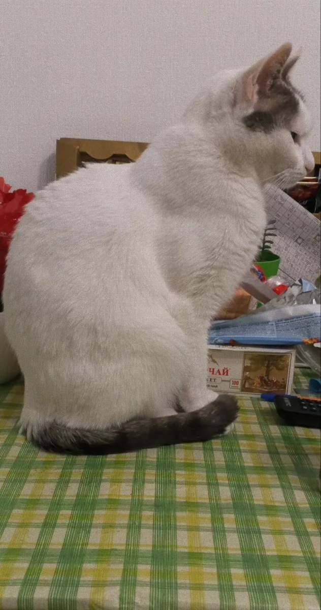 Я мотиватор, да. Сейчас посижу и дальше пойду мотивировать