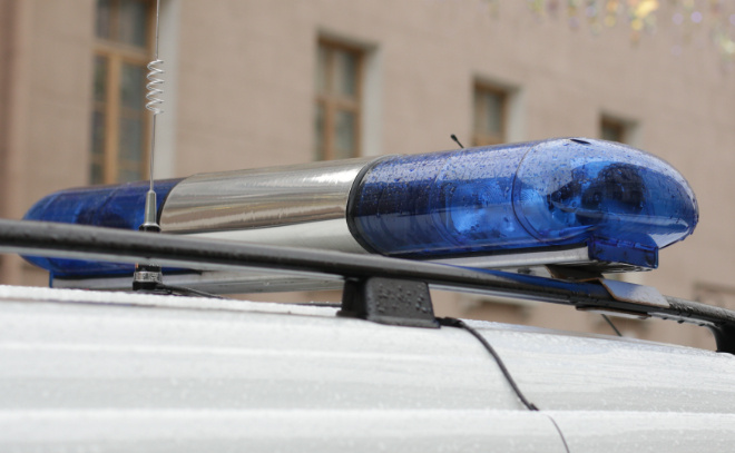    © Baltphoto / Мария Добрыгина