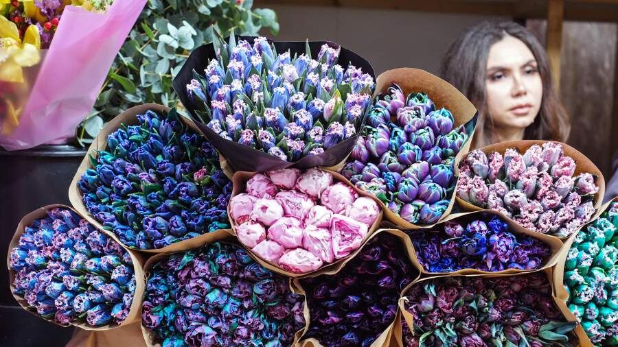    Фото: ИЗВЕСТИЯ/Эдуард Корниенко