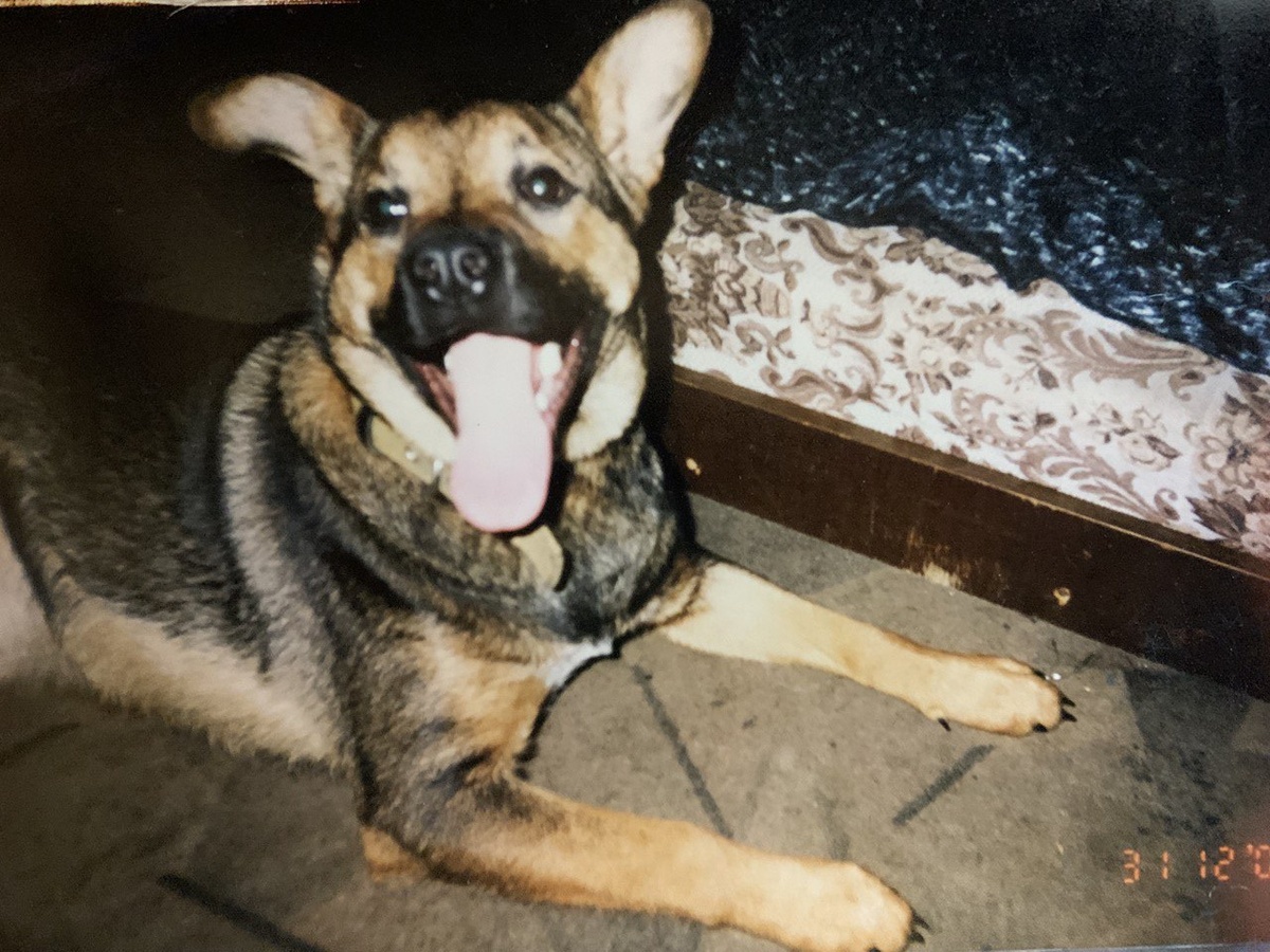 Это наш Макс.