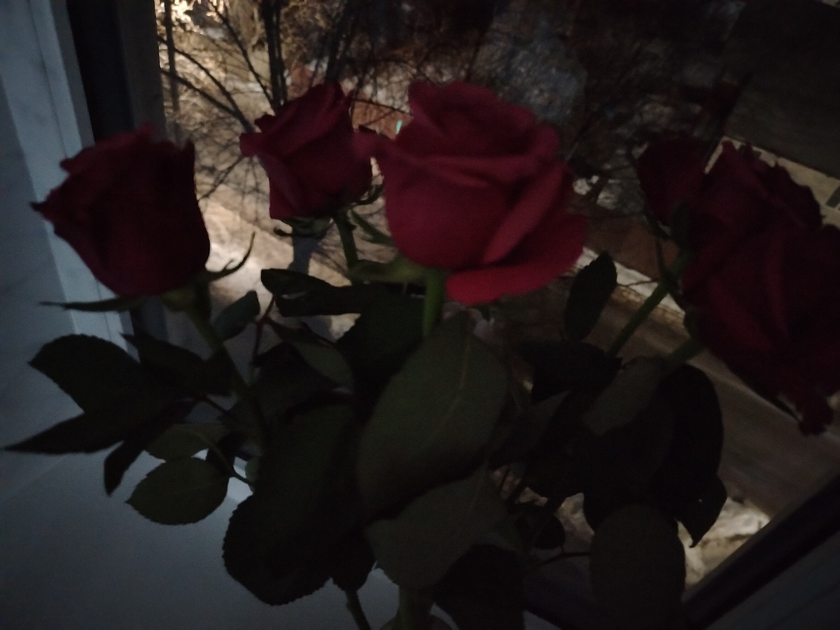 Почти две недели на окошке стоят и совсем не завяли...