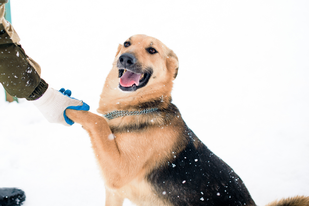 Нормально! Имя беру!