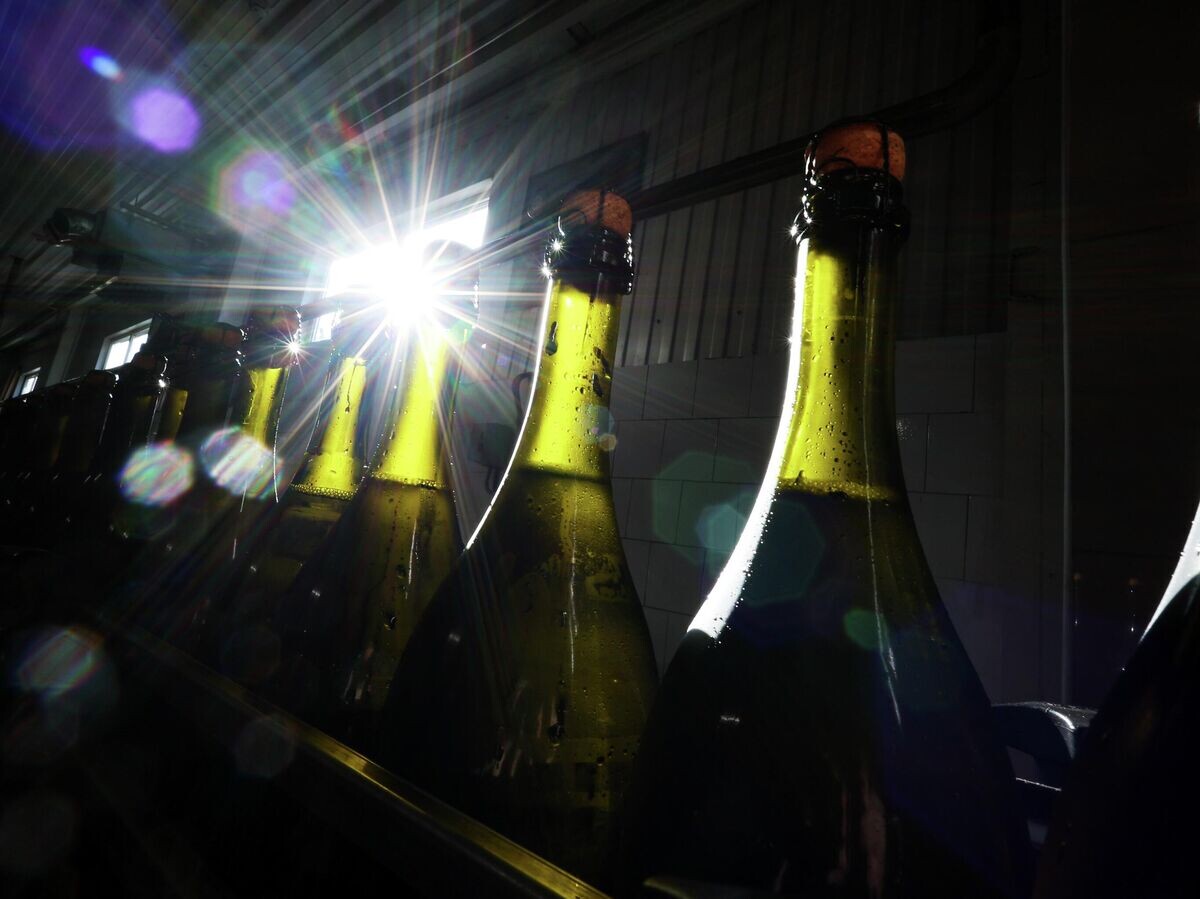    Линия розлива игристых вин на винодельческом предприятии | © РИА Новости / Виталий Тимкив