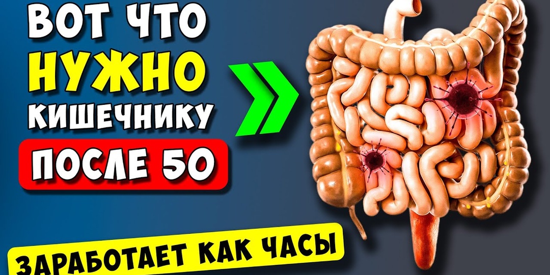 Лучшие продукты для кишечника после 55