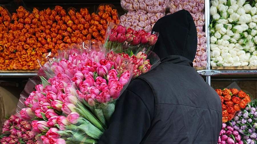    Фото: ИЗВЕСТИЯ/Эдуард Корниенко