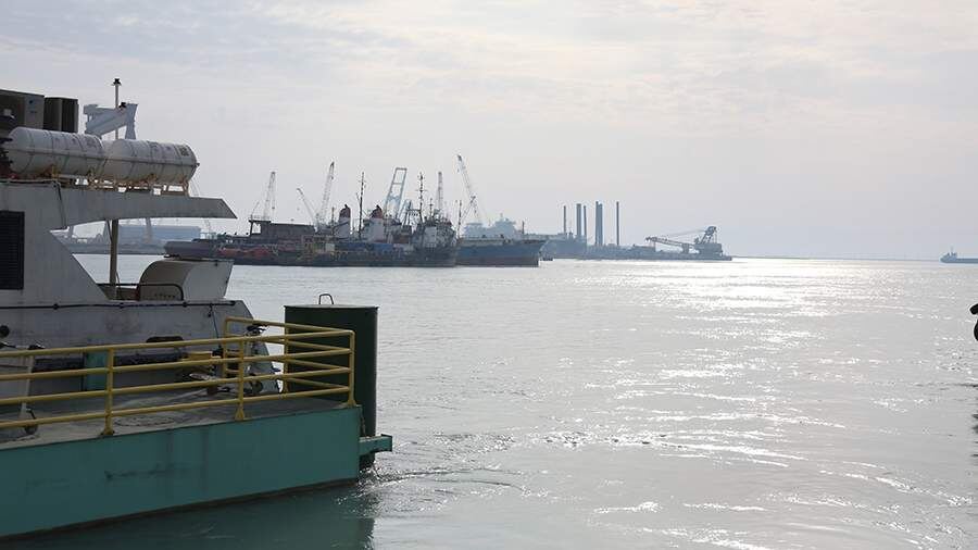    Фото: Global Look Press