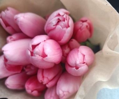 Длинные выходные начались в России