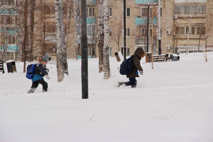    Фото:Ольга Кузьмичева