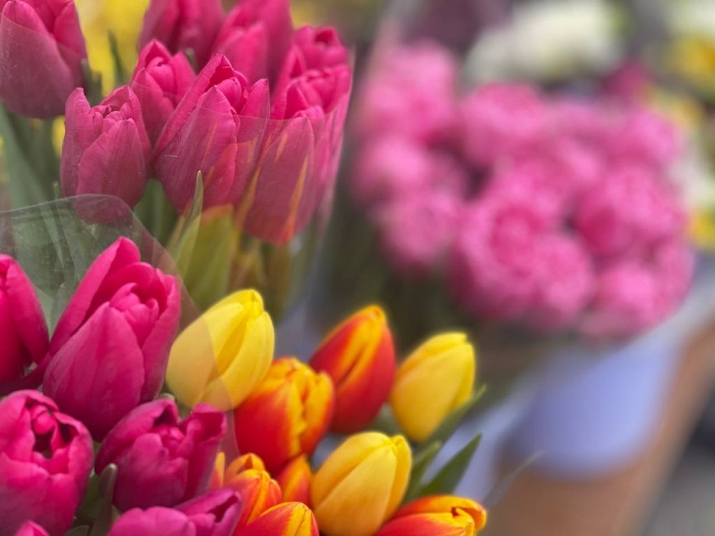    – Газета "Земля"