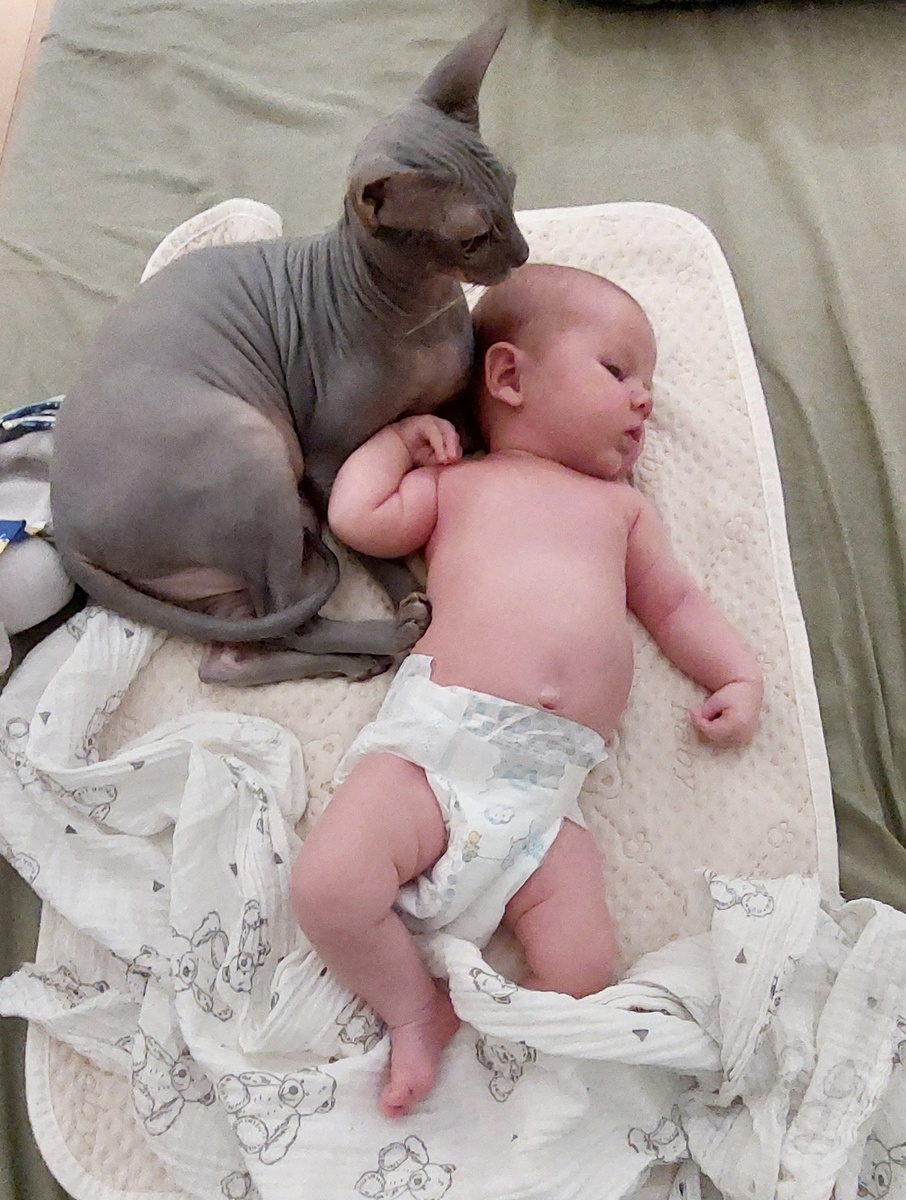 У детей, как и у животных, любовь безусловная. Они любят просто так. Как это чувство пронести через всю жизнь? Кажется, очень непросто 🤔