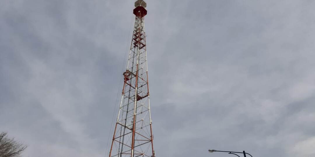 Вихрь нарциссов закружится на телебашне Благовещенска в честь 8 Марта