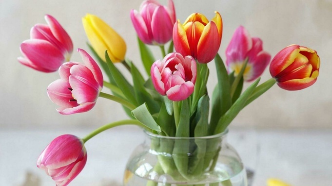 Формула свежести. Нестандартные, но эффективные способы сохранить букет как можно дольше