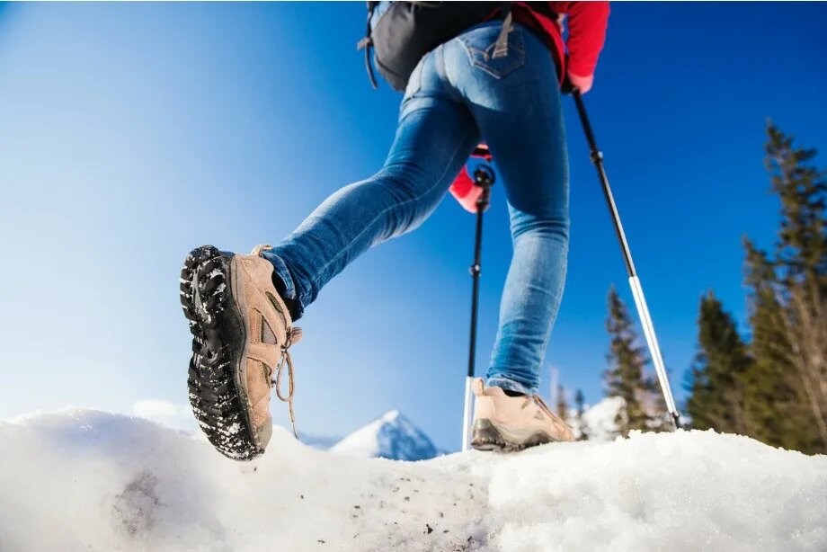   Северная ходьба / Фото: открытые источники