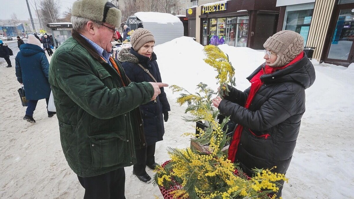    На 8 марта погода сделает подарок, а потом снова станет очень холодно   Максим Кимерлинг / 1MI