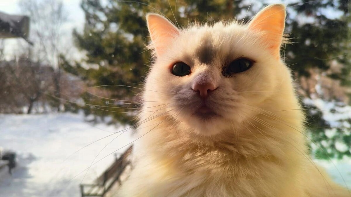    Погода в Оренбуржье 7 марта   56orb.ru