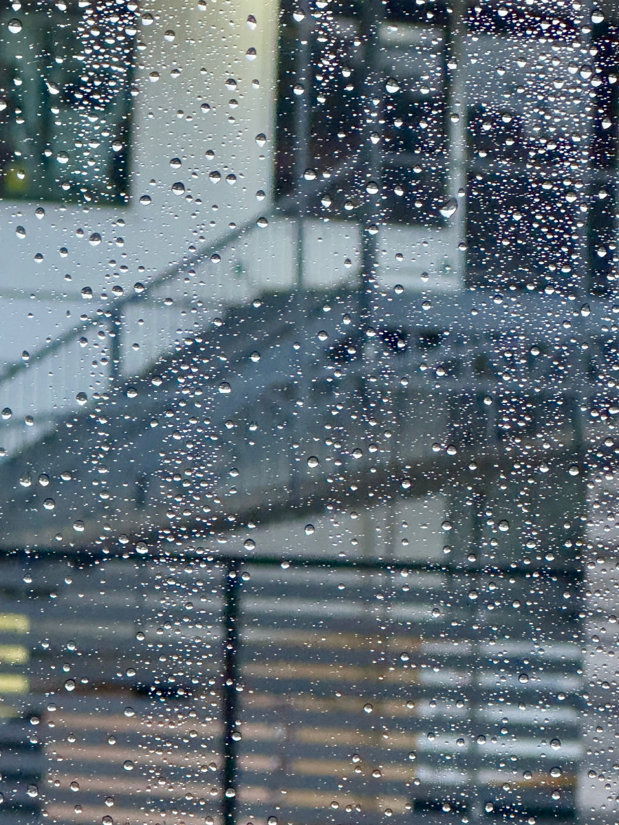 С утра моросило