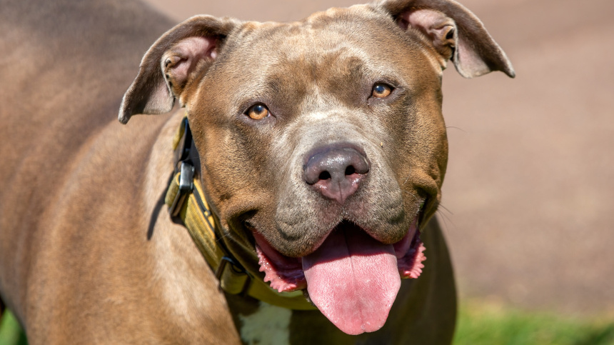    Фото: © Getty Images/Sue Thatcher