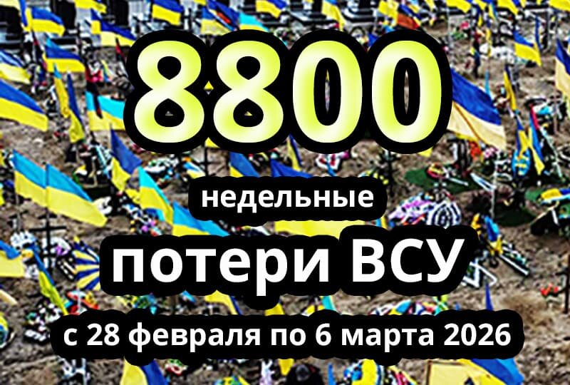    Недельные потери ВСУ