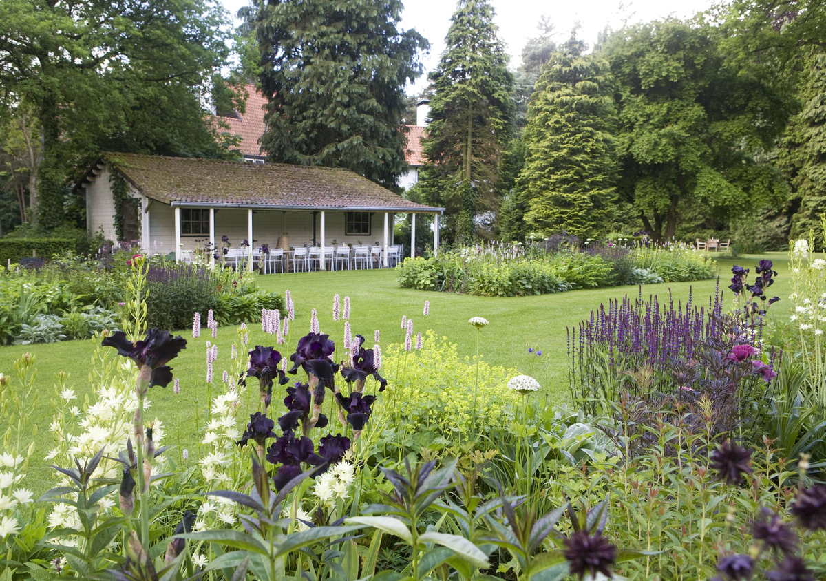  Голландский сад — максимум цвета и порядка на компактном участке