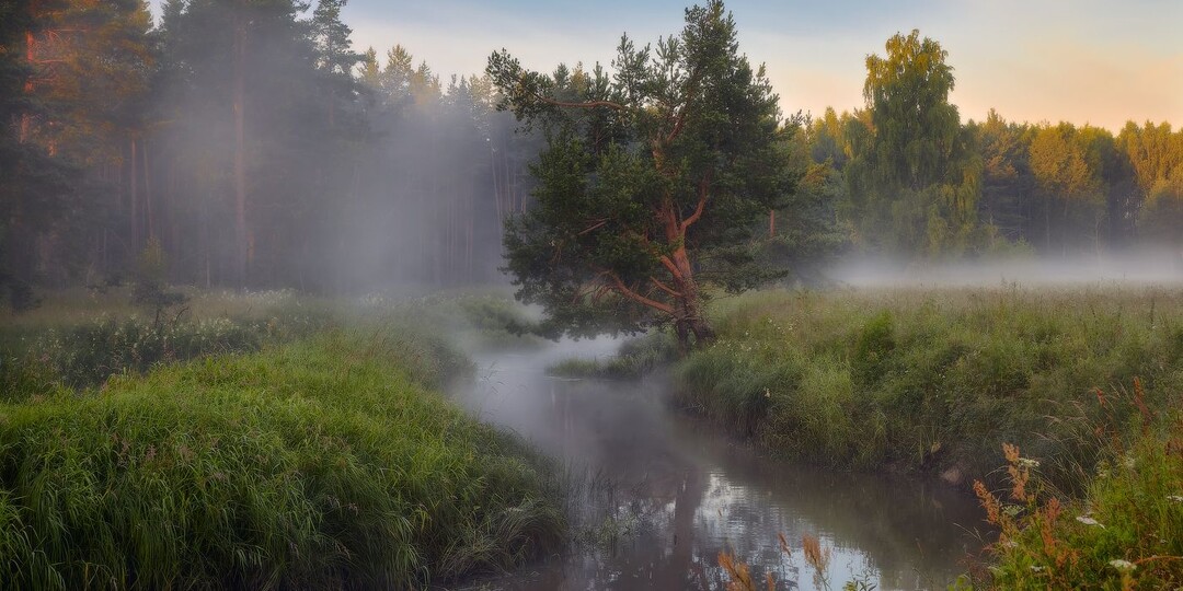 Одиночество и надежда