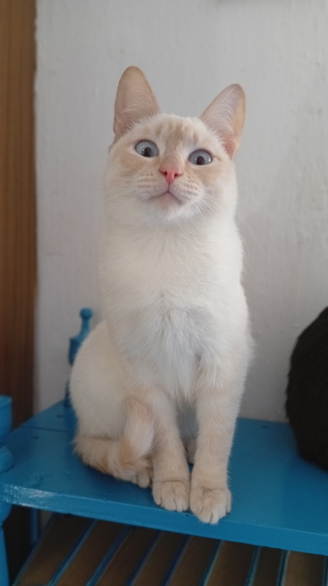 Фото из личного архива