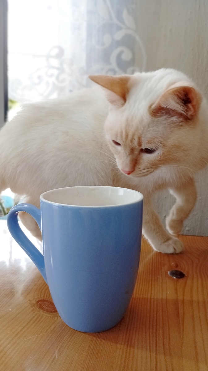 Фото из личного архива