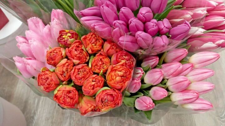    Фото:Андрей Федотов