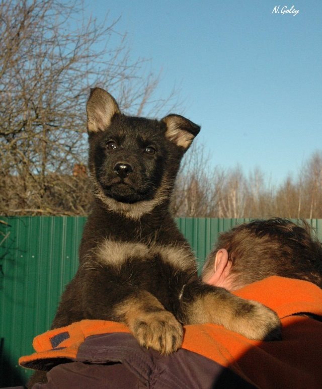 Героиня рассказа 