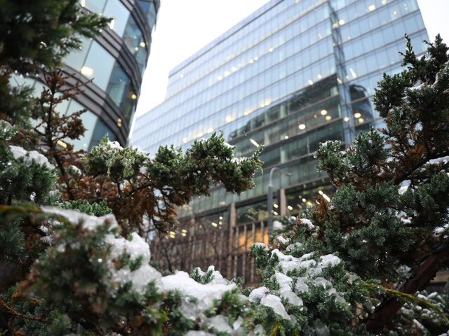    Фото: Москва 24/Никита Симонов