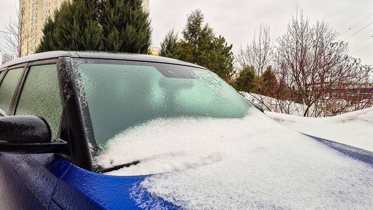    Фото: Денис Воронин / АГН Москва