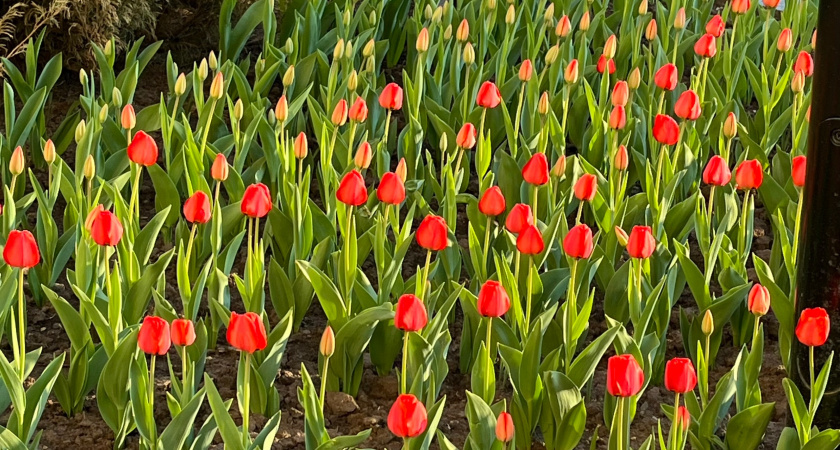    Фото из архива редакции