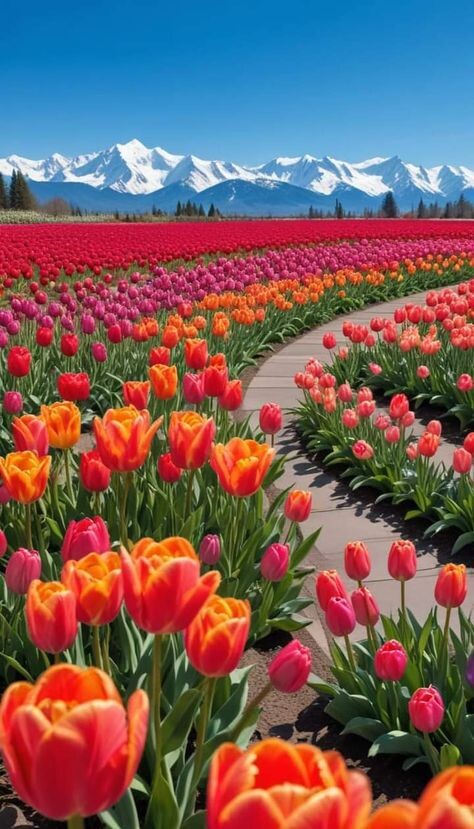 Из открытых источников интернета