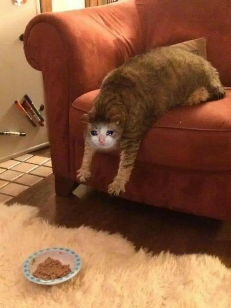 Из открытых источниках