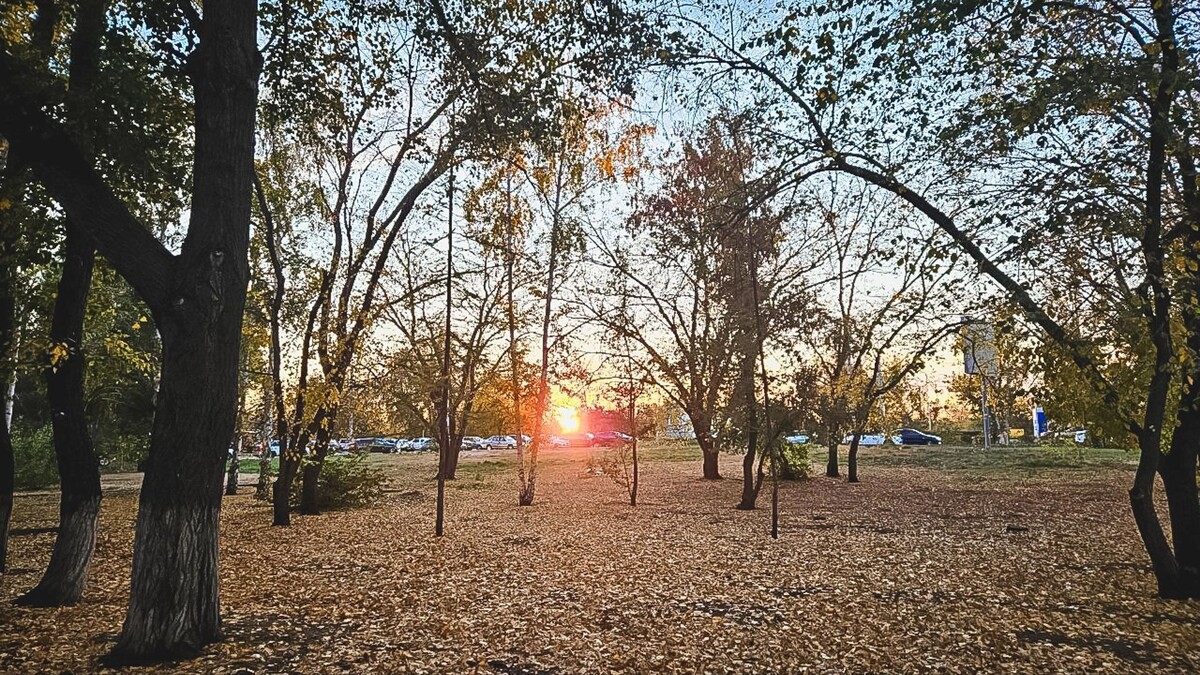    От снега на севере до +12 на юге: прогноз погоды на выходные в Ростовской области   1MI