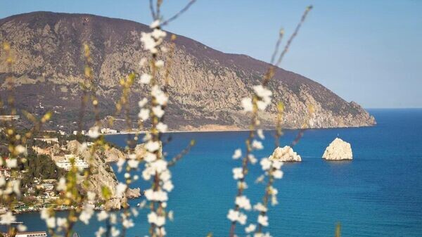    © Telegram-канал главы администрации Ялты Янины Павленко