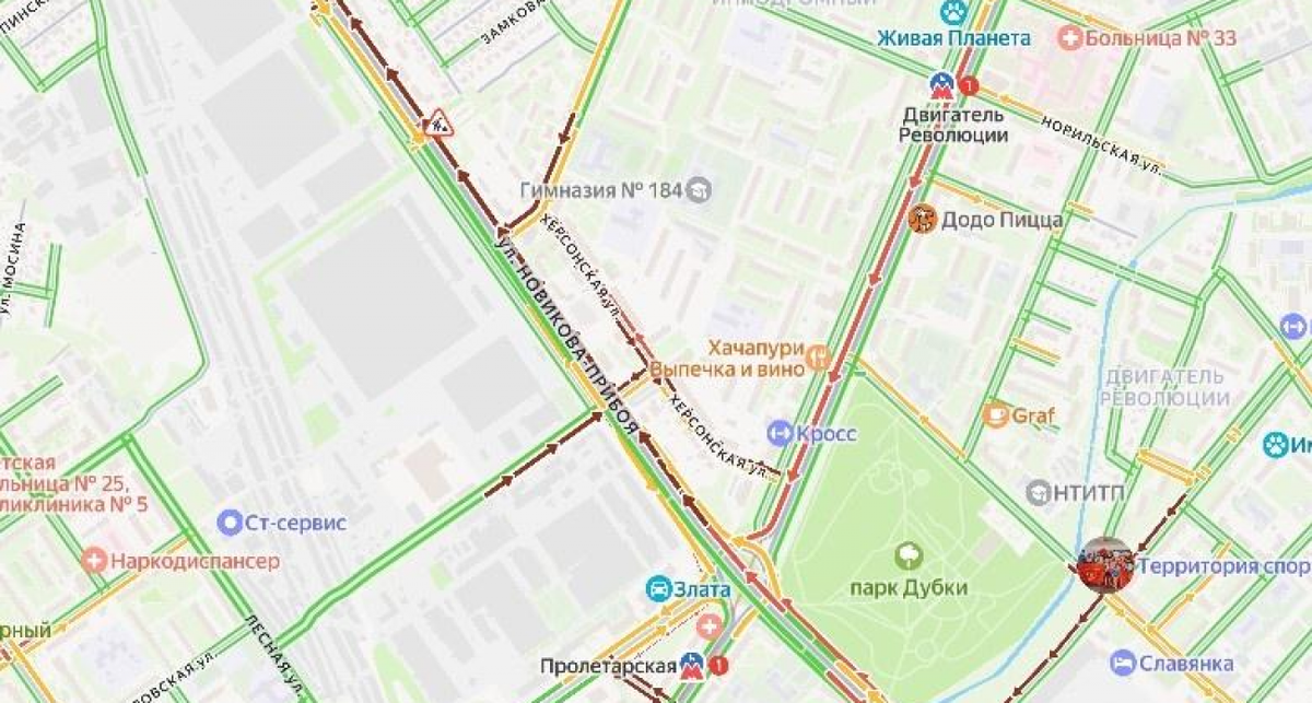    Фото с сайта vgoroden.ru с сайта i3.vgoroden.ru