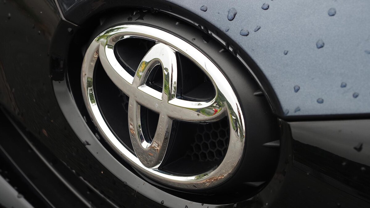    Фото: Igor Golovniov/globallookpress.com