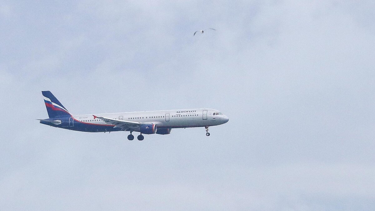    Фото: Petrov Sergey/globallookpress.com