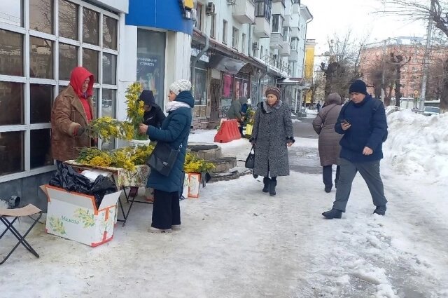    Мимозы стали символом женского дня. Фото: АиФ/ Зоя Мозалева