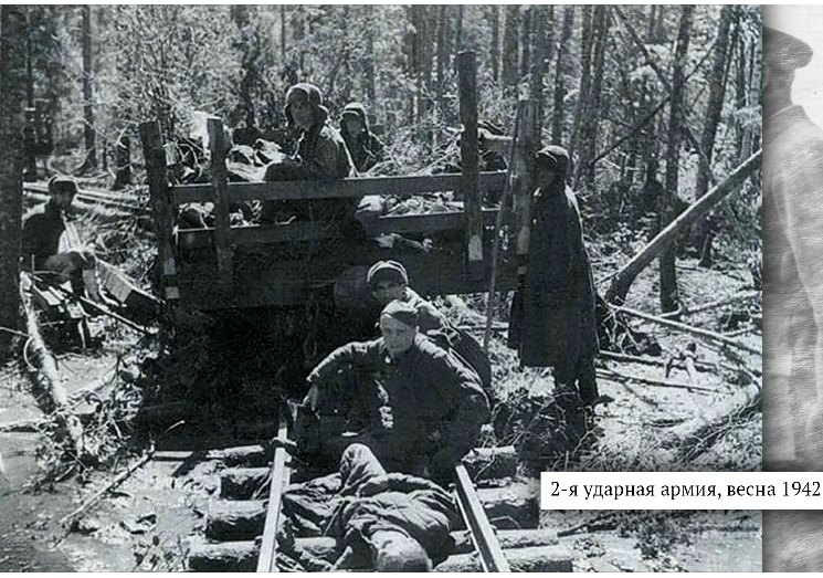 2 ударная армия в новгородских лесах