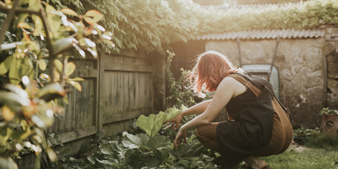 В Госдуме объяснили, имеют ли право дачники установить глухой забор в 2026 году