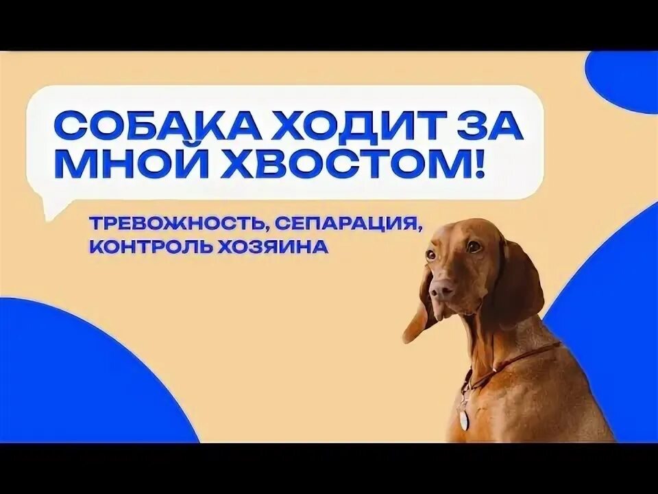 Фотография из интернета