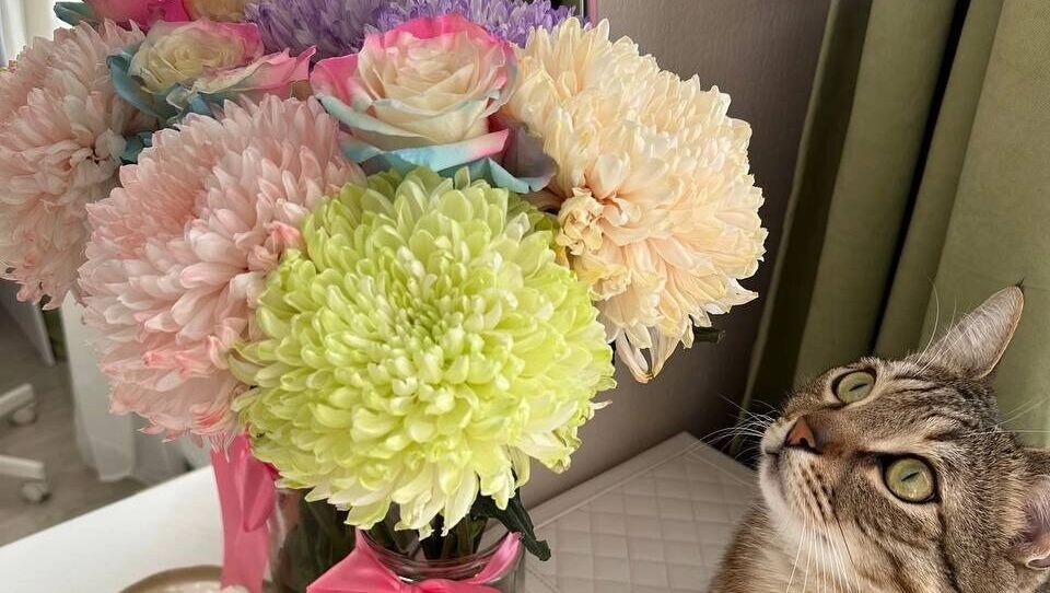    Сахар поможет цветам в вазе прожить дольше   Анна Ивченко / rostovgazeta.ru