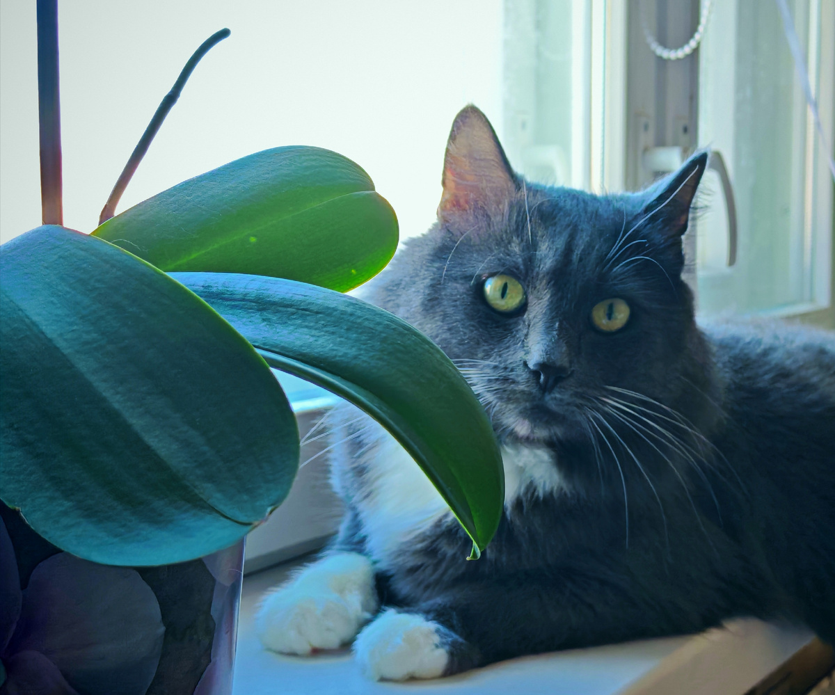 Фото автора канала 