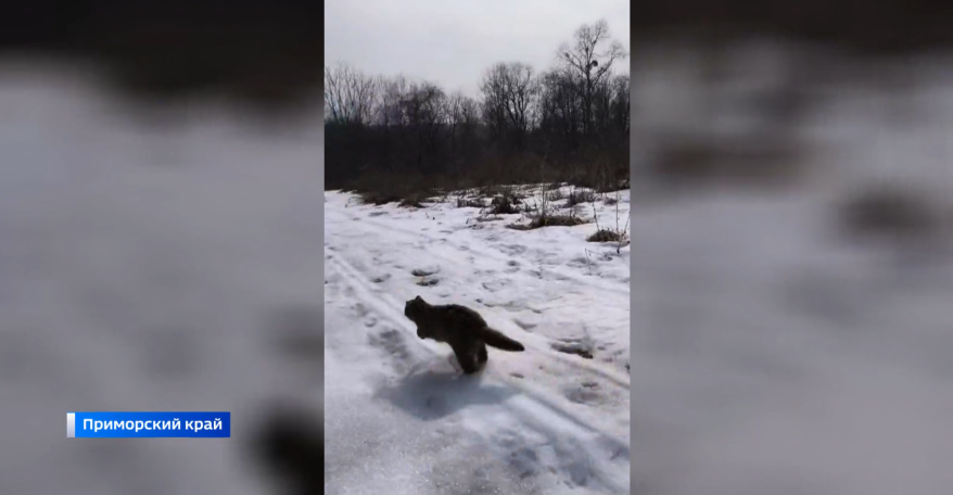    Источник фото: