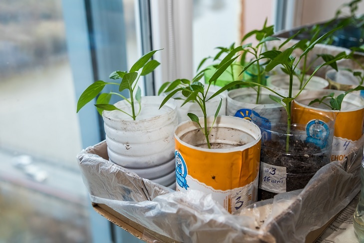    Фото Андрея Заржецкого