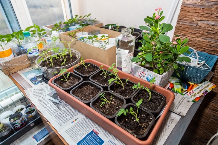 © Фото VN.ru.📷
