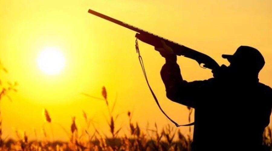    Фото: Комитет охотничьего хозяйства и рыболовства