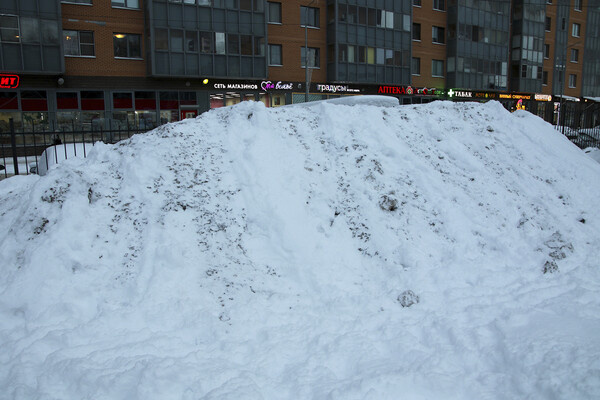 Maksim Konstantinov/Global Look Press   📷