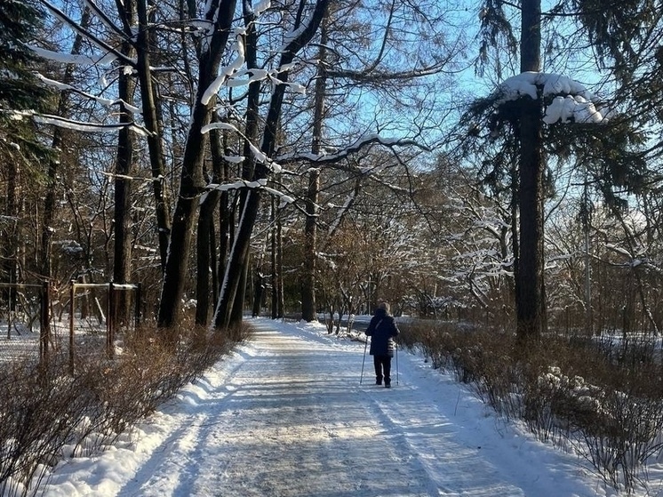     В воскресенье, 8 марта, станет немного прохладнее. Фото: архив МК в Питере